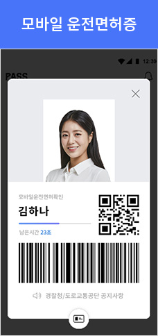 블록체인 모바일 운전면허증 헤카테 DID HECATE