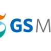 03_gsmbiz